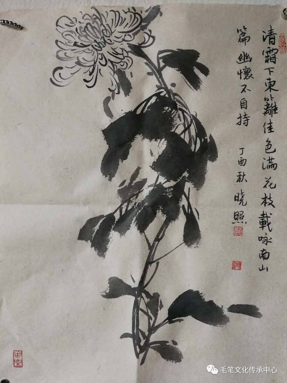 【国画】赵晓照一写意菊花(叶子的画法)