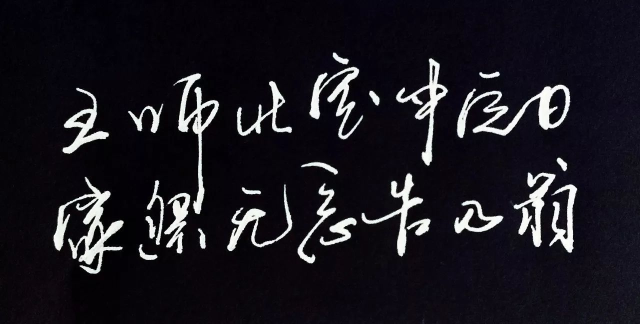 一身报国有万死,双鬓向人无再青《夜泊水村》