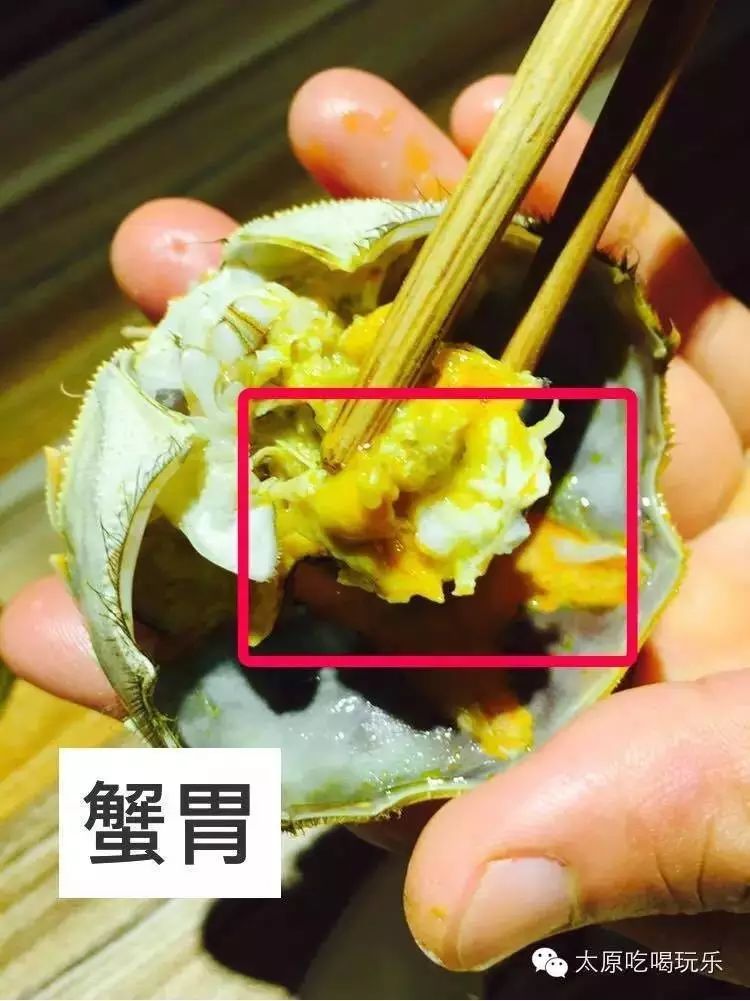 蟹胃 躲在蟹黄里的三角包儿,也有蟹的排泄物.