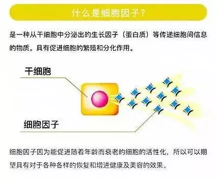 碱性成纤维细胞生长因子(bfgf),人血管内皮细胞生长因子(vegf)血小板