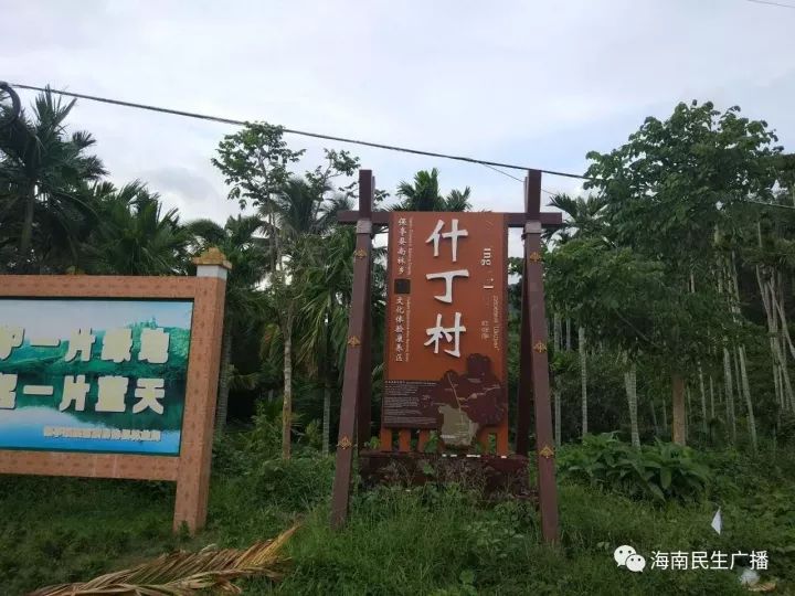 扶贫宣传乡村行保亭黎族苗族自治县南林乡南林村八大举措推进整村脱贫