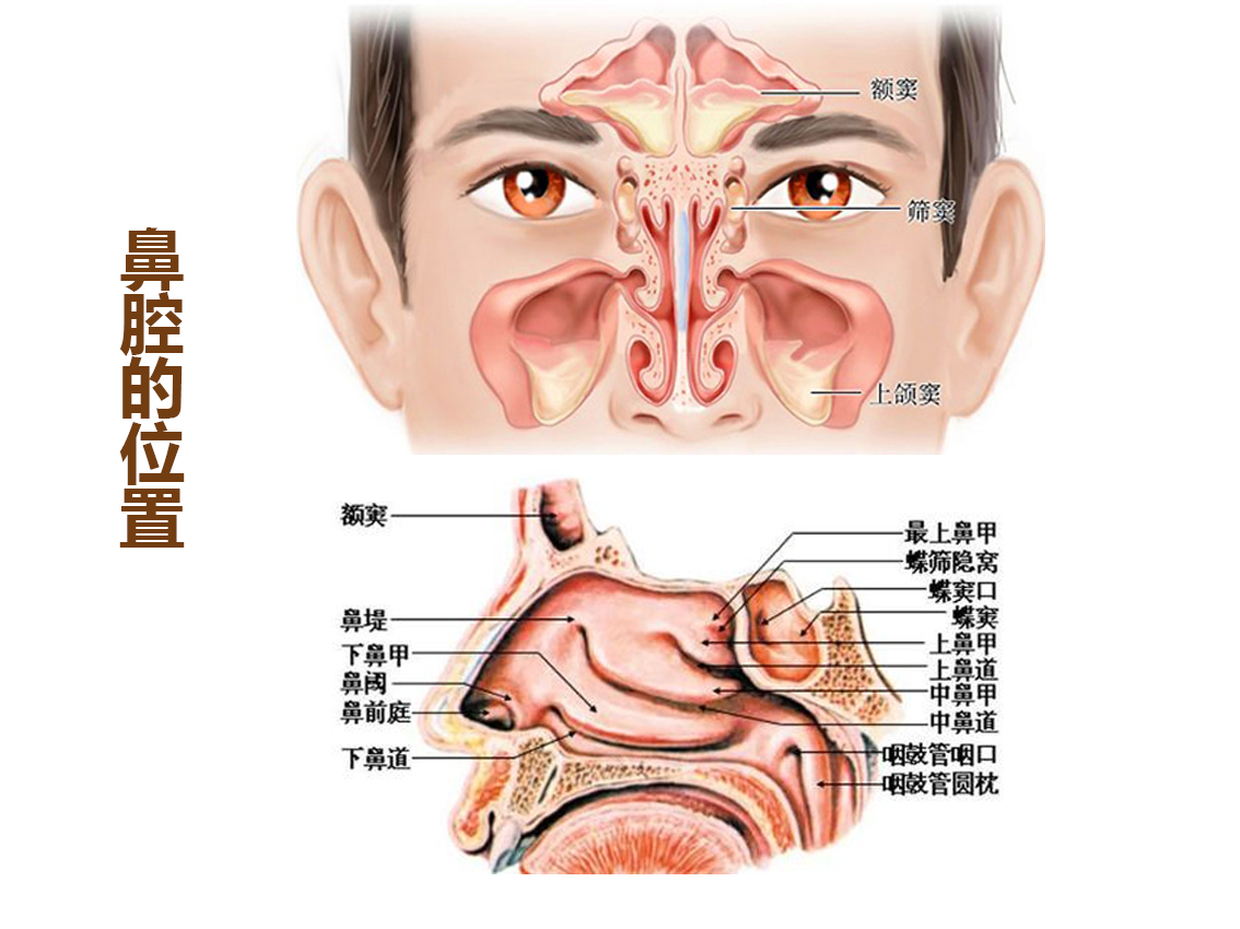 鼻塞鼻痒喷嚏不断,患鼻炎怎么治?丨有请大医生