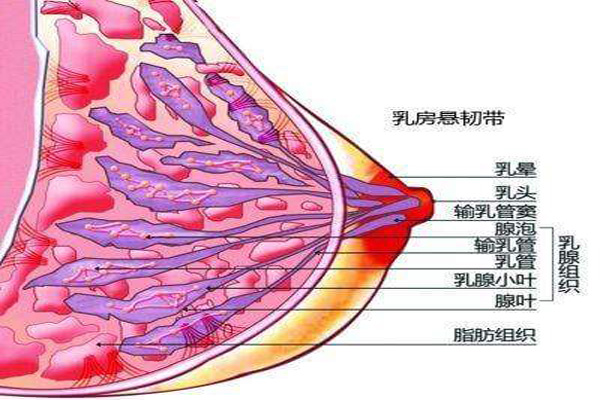 乳腺增生有什么症状