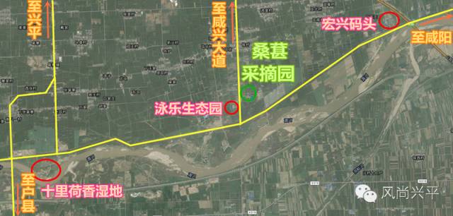 地址/兴平市阜寨镇侯村(桑葚采摘园) 行车路线: 1,咸阳游客下3号桥沿