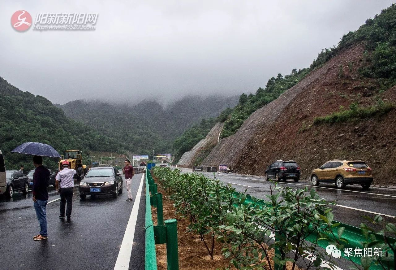 阳新县有多少人口_悲剧 湖北黄石阳新一家五口在长江淹死 江水危险