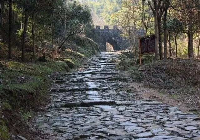 徒步|浙江8条绝美山间古道,你走过几条