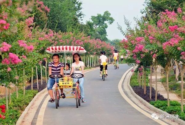 新洲仓埠: 紫薇都市田园 赏花游新地标