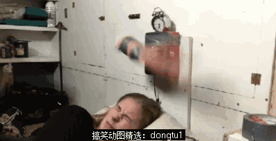 399_204gif 动态图 动图