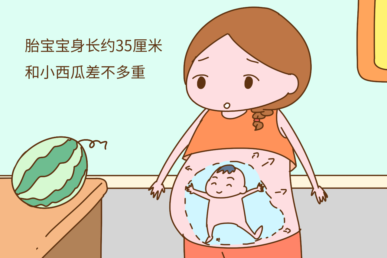 【胎儿篇】肚子里的宝宝，在这样悄悄地保护着妈咪 -MamaClub – MAMACLUB