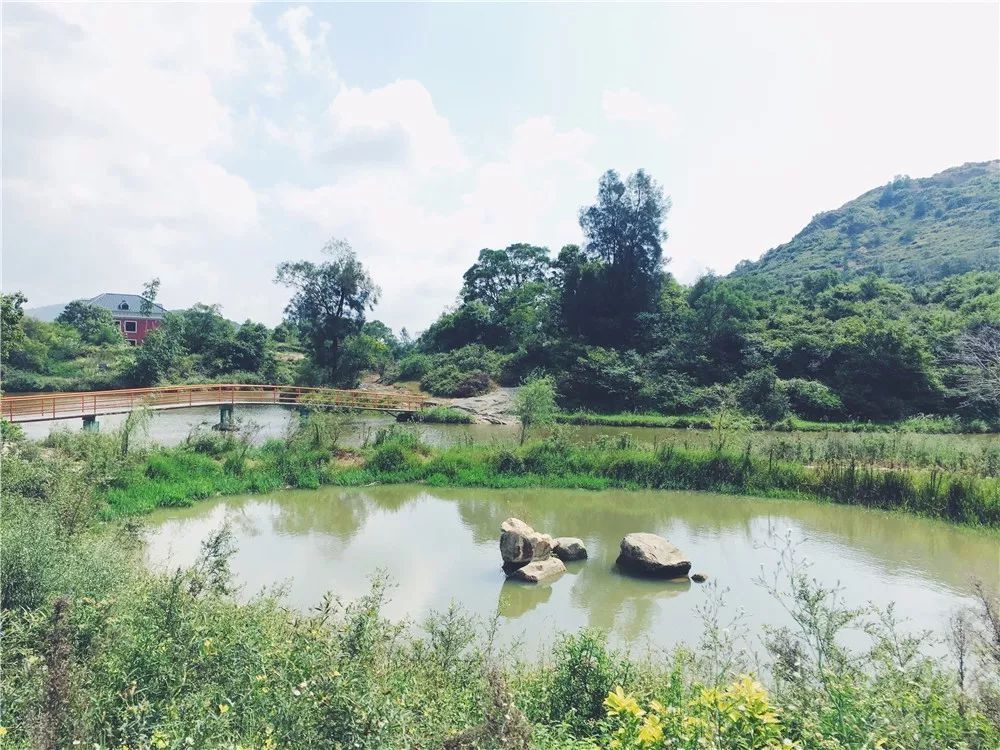 小编刚发现,福清大山里还有这个好地方,吃得好,住得好,还不贵