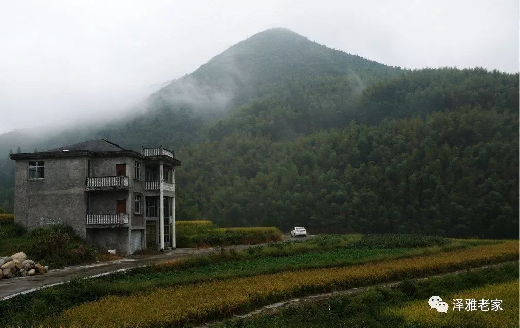 初夏,山野间浮动缥缈的山岚,我们的小车在青山绿水旁行驶,透过轻轻