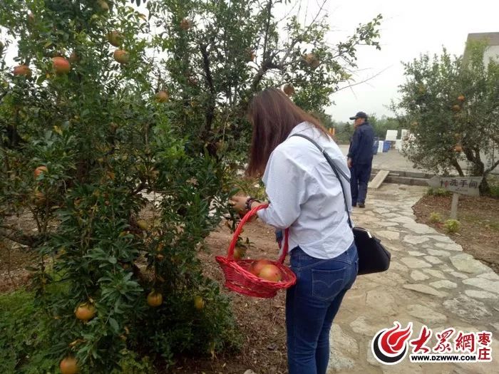 昨天,全国的网络媒体齐聚峄城;今天,峄城就"热"了起来!