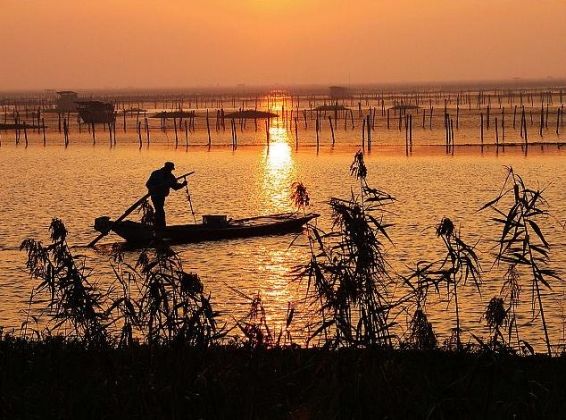 阳澄湖