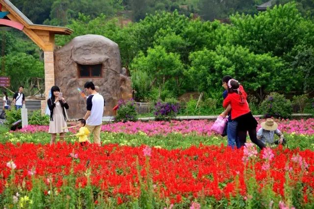 国庆就乘坐旅游专车,来丹樱享受美好假期~ 丹樱生态园地址:汕头市