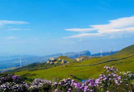 梅花山旅游景区:梅花湖水幕电影 4.