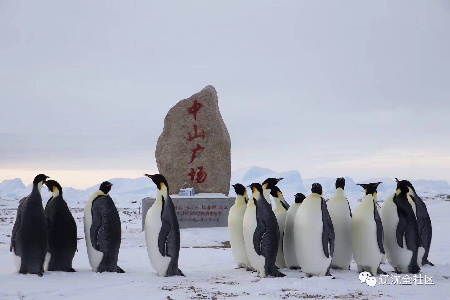 南极中山站19名越冬队员合影送祝福