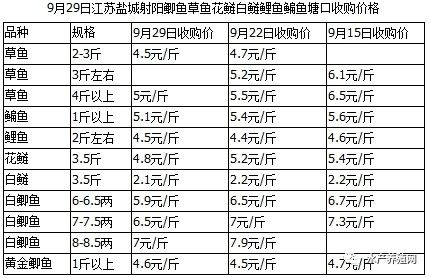 盐城每年有多少人口啊_盐城人口老龄化