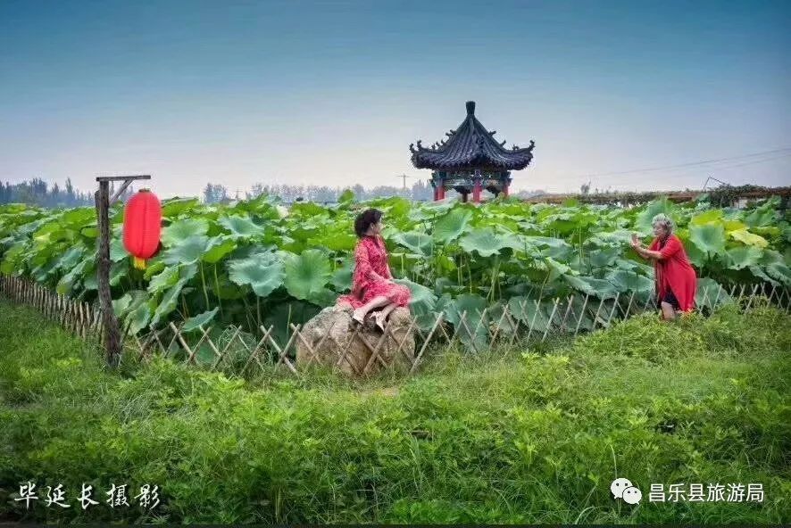 第二届庵上湖葡萄文化节今日盛大开幕!