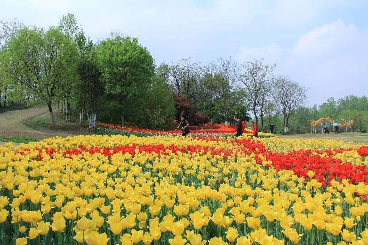 合肥植物园