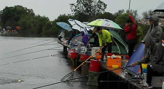 活动地点:长丰县岗集镇青峰岭村 房车生态游 1,野钓争霸赛