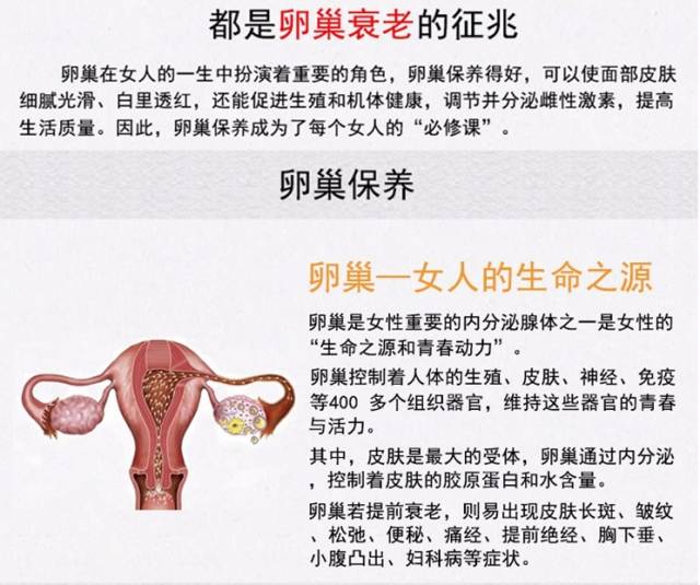 卵巢——掌控女人一生的兴衰,作为女人,你必须要知道!