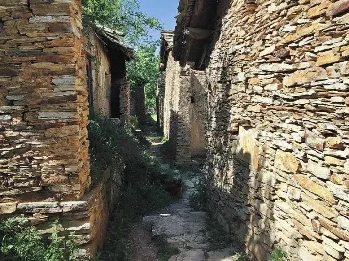 洛南周湾苍鹭 文脉洛南的探秘之旅 洛南紧邻秦岭南麓,森林覆盖率达