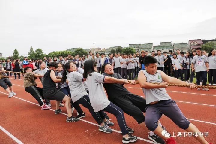 2017年亭林中学秋季运动会(内附精彩视频)