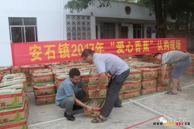 全城爱心在行动!让浦北蕉农脸上少一丝愁容!