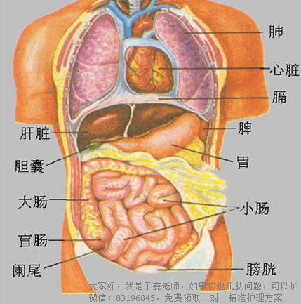 吴中集团现任董事长