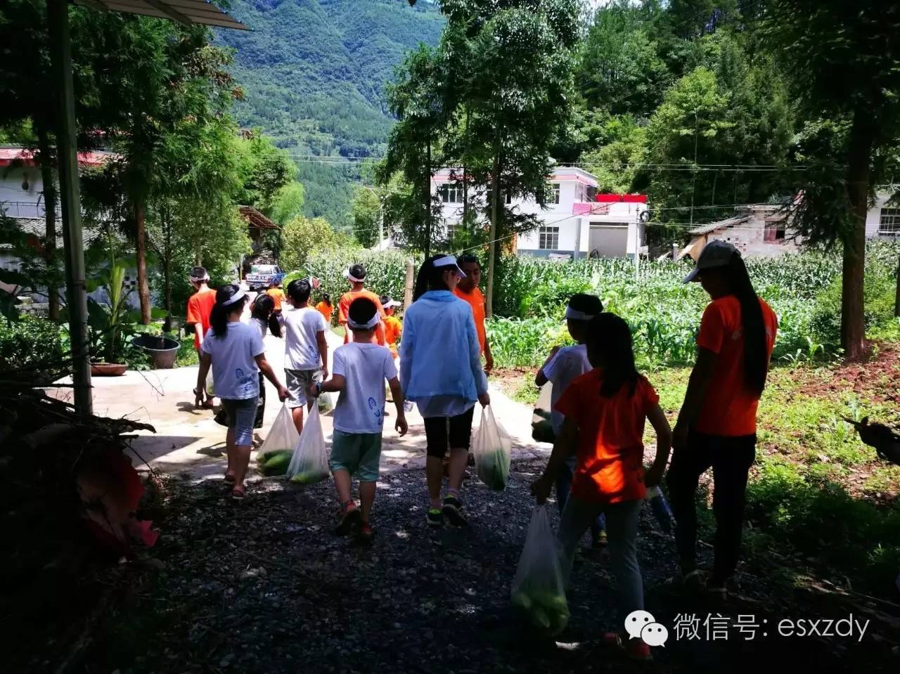 石柱分支机构的联系方式地址:重庆市石柱县万安街道瑞通路30号联系人