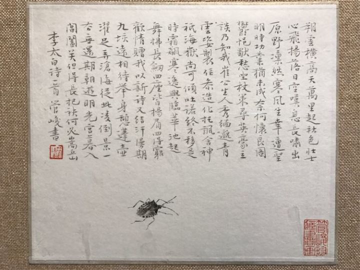 中国书法院院长管峻南京精品书画展现场作品欣赏