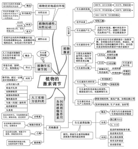 高中生物思维导图