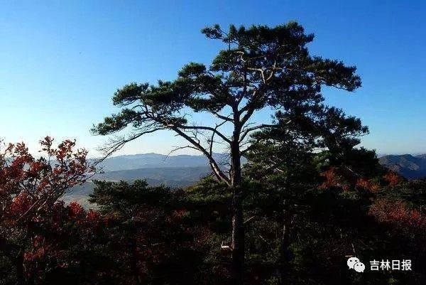 五奎山风景名胜区 宗教特色 位于梅河口市区东北9公里处,距国道202线