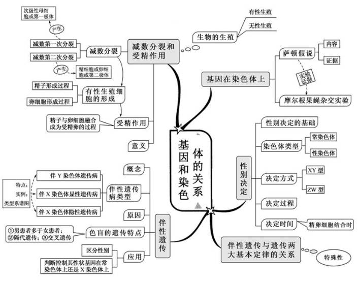 高中生物思维导图