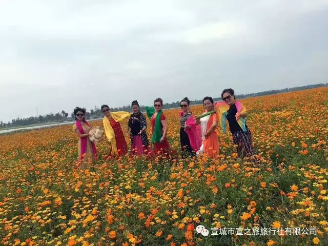 高淳婚纱摄影_婚纱摄影(3)