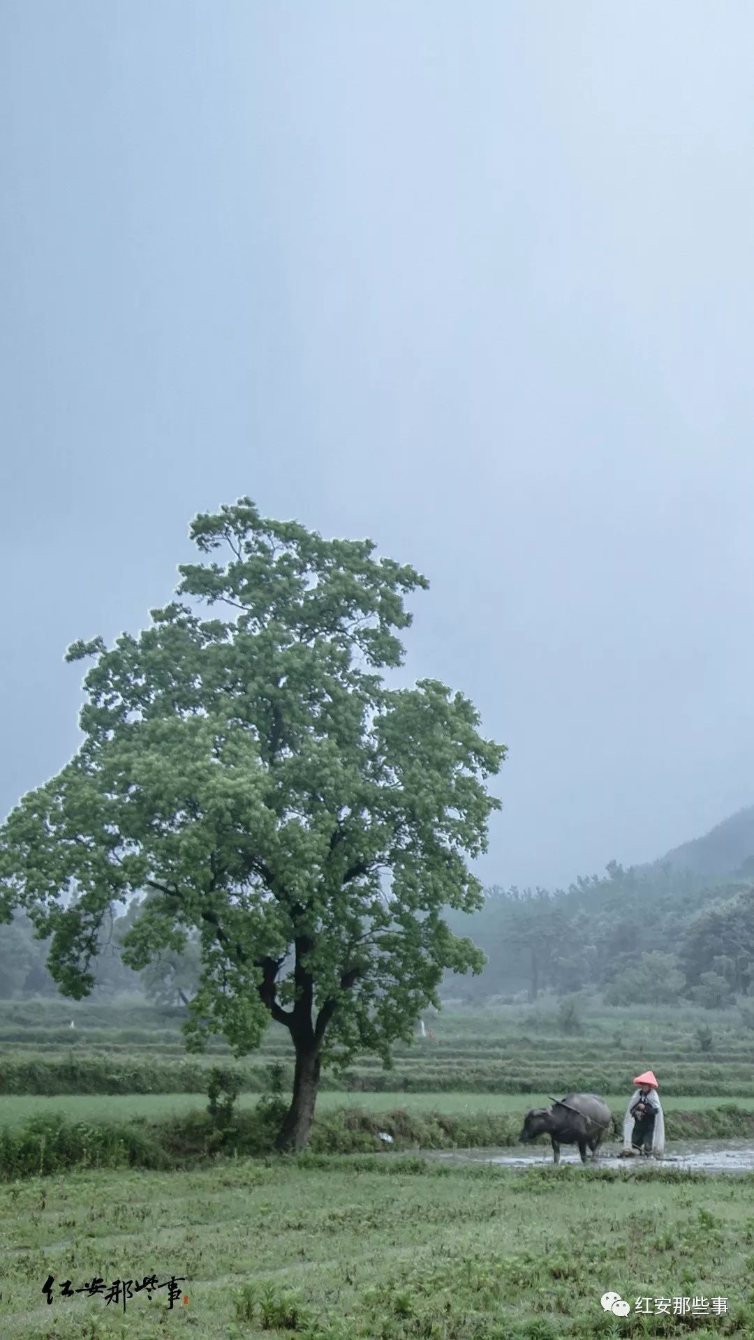 红安风景手机壁纸第一期:最美家乡景,最亲故乡人