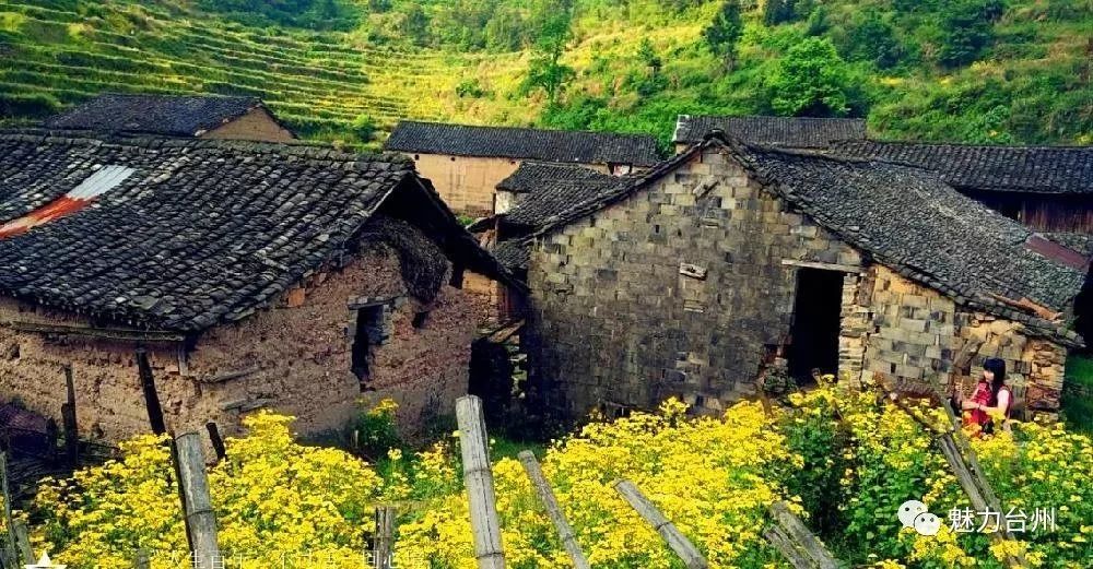 国庆去哪儿丨何必远行!台州私藏的山村,自有好风光