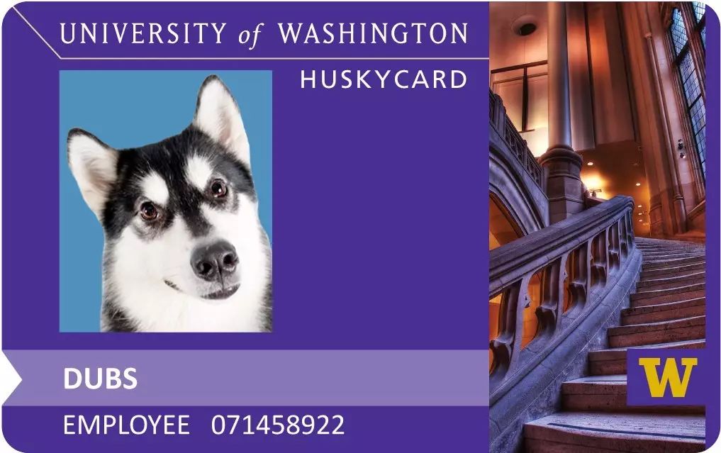 u-pass是嵌入学生卡(husky card)里的,乘坐公交车的时候在刷卡器上刷