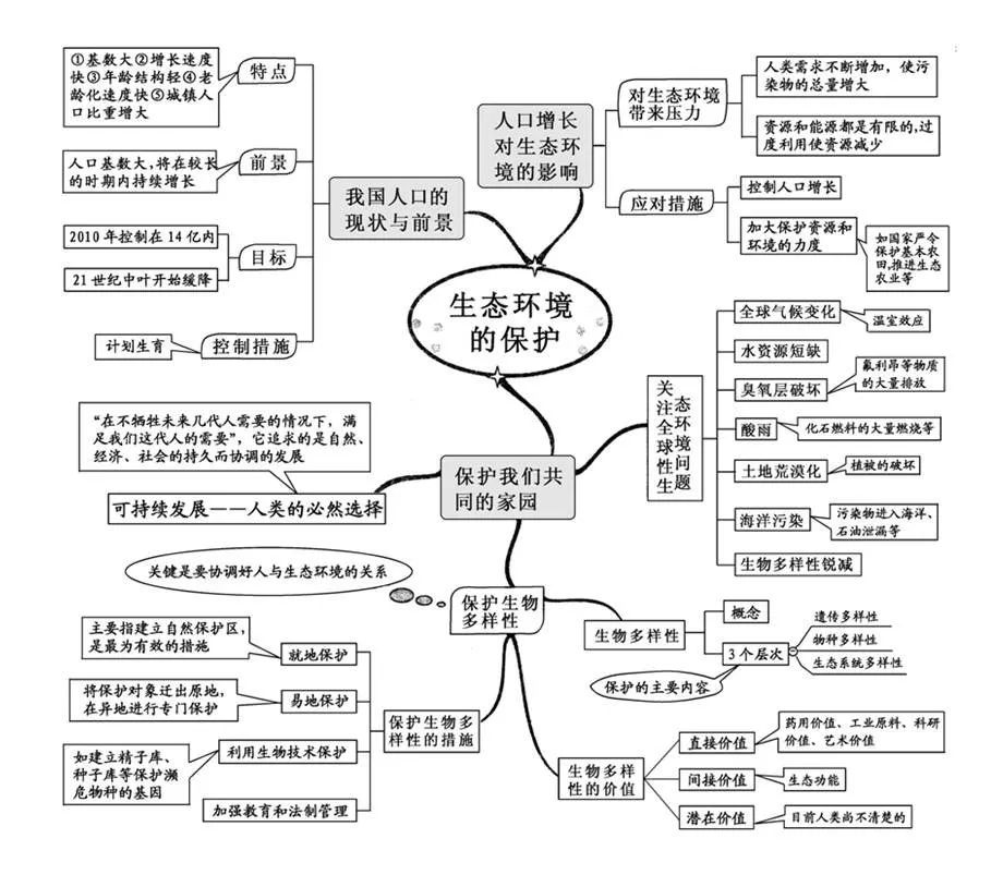 高中生物思维导图