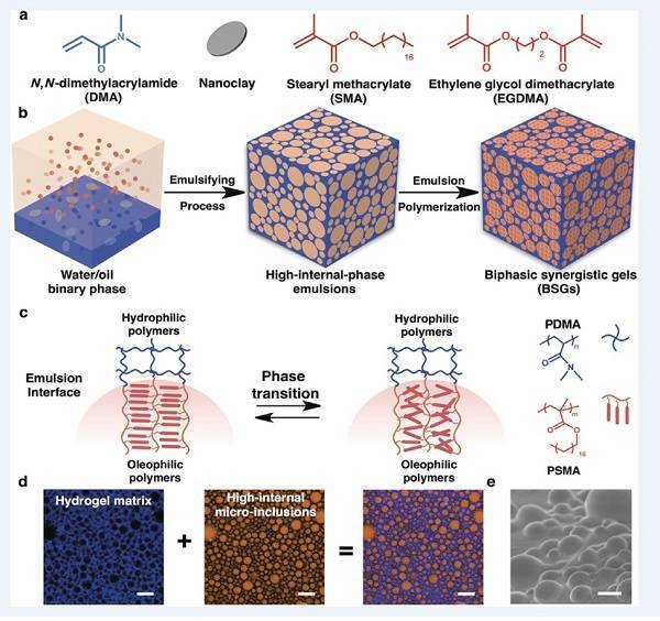 (a) dma, sma和egdma的分子结构以及纳米粘土的原理图.