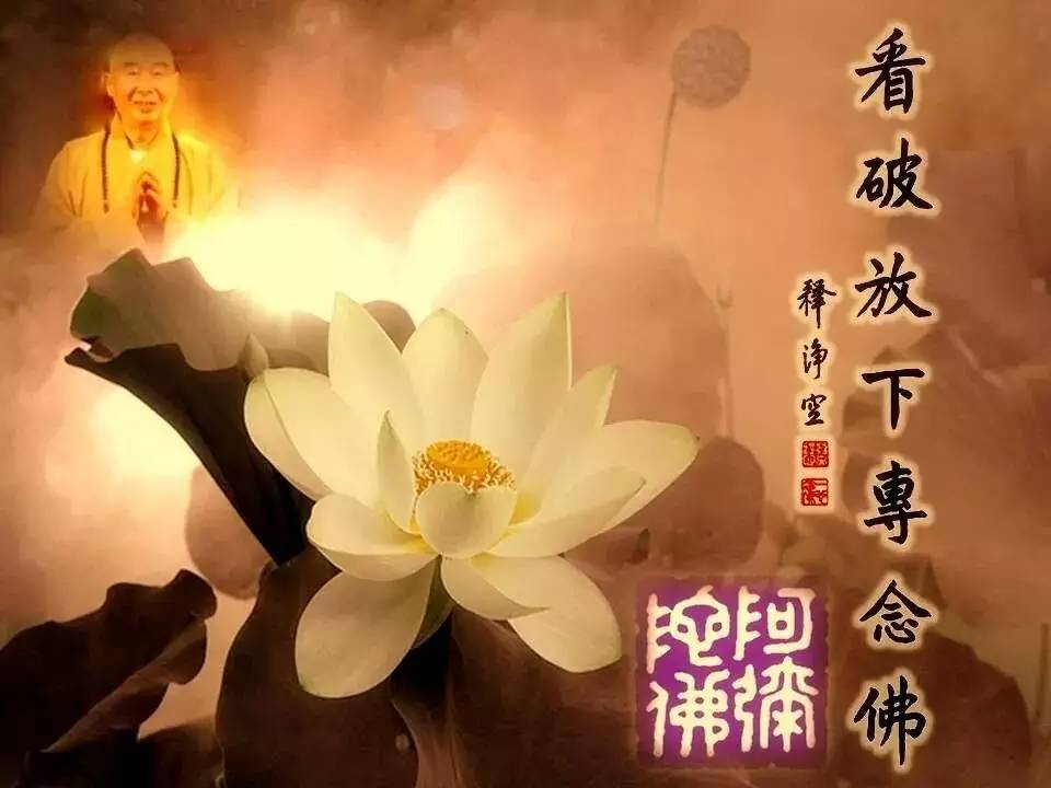 我们循着佛菩萨的足迹,勤修戒定慧,肯定可以走出轮回.