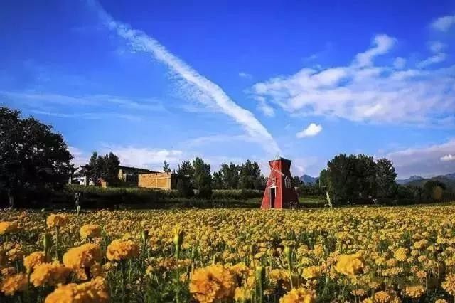 蓝田有个欧陆风情地,百亩花海惊艳绽放,稻香四溢,还有"第二敦煌"瑰宝