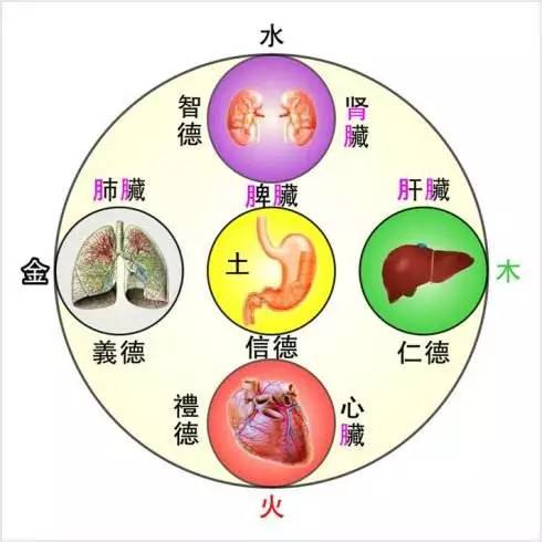 五行识人口诀_五行识人(2)