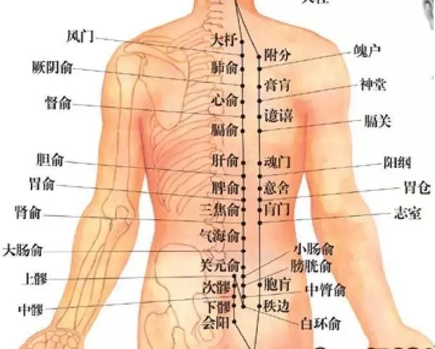 健康 正文  腰俞穴:位置:取穴时一般采用俯卧姿势,腰俞穴位于腰部,臀