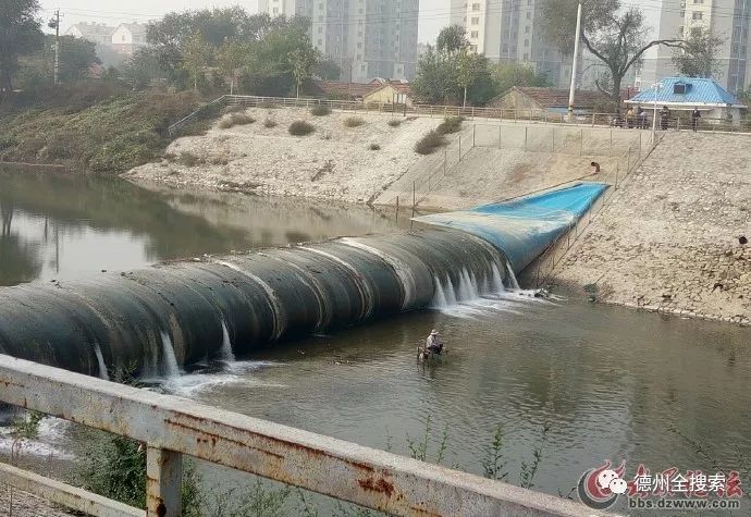 德州运河现"最牛"垂钓