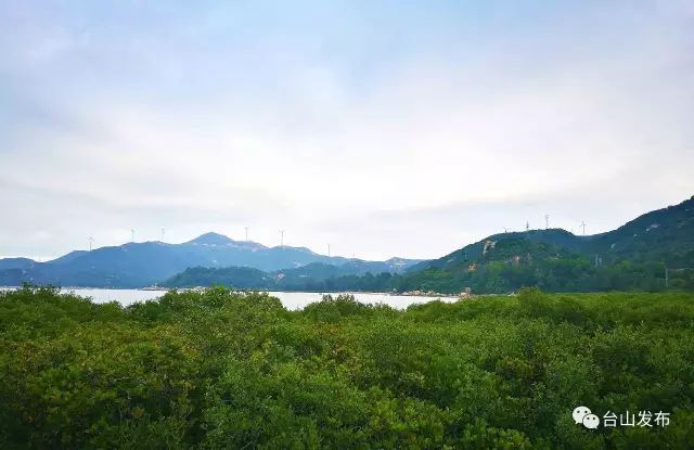 海上绿岛台山这个地方被认定为首批广东省森林小镇趁着国庆假期快来玩