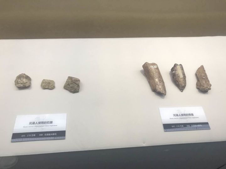 元谋人使用的石器1965年5月1日,中国地质科学院地质力学研究所的钱方