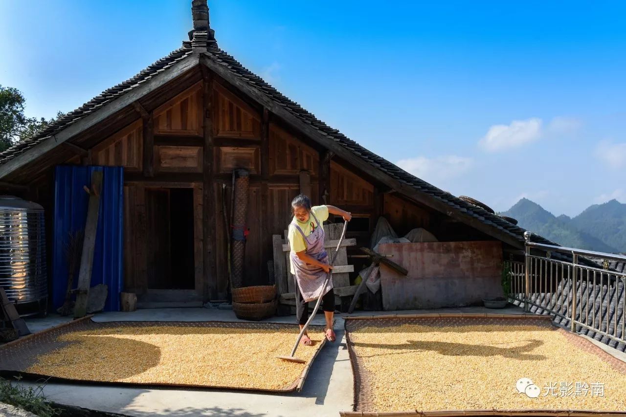 金秋时节,走进三都县普安镇野记村七,八组,这里世居着近100户苗族同胞