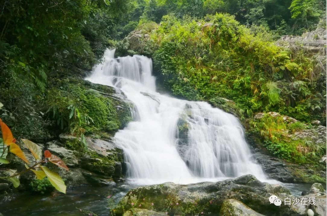 这里就是位于海南岛中西部山区,黎母山脉,鹦哥岭脚下的白沙黎族自治县