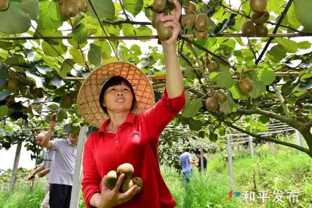 说走就走看完这份和平国庆旅游清单小编要收拾行李了